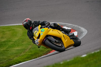 anglesey;brands-hatch;cadwell-park;croft;donington-park;enduro-digital-images;event-digital-images;eventdigitalimages;mallory;no-limits;oulton-park;peter-wileman-photography;racing-digital-images;silverstone;snetterton;trackday-digital-images;trackday-photos;vmcc-banbury-run;welsh-2-day-enduro